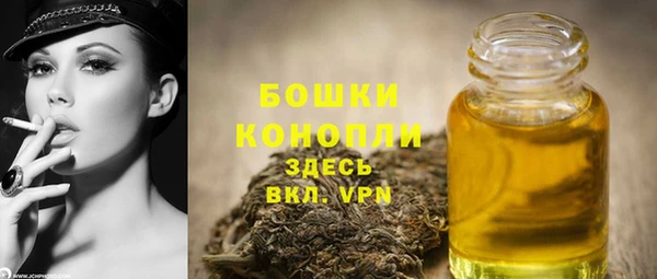 твердый Бронницы