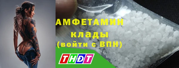 твердый Богданович