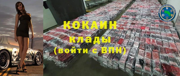 тгк Бородино