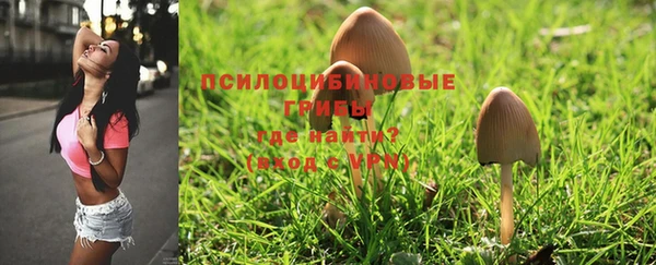 мяу мяу кристалл Рославль
