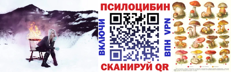 наркотики  Новосокольники  Псилоцибиновые грибы мицелий 